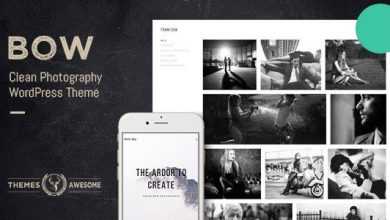Photo of [Download-S2] Bow v1.8 - Clean Photography Portfolio Theme