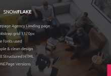 Photo of [Download-S2] SNOWFLAKE - Onepage Agency HTML Template