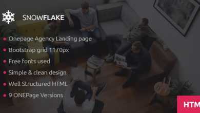 Photo of [Download-S2] SNOWFLAKE - Onepage Agency HTML Template