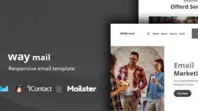 Photo of [Download-S2] Way Mail - 30+ Modules + Online Access + Mailster + MailChimp