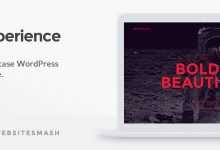 Photo of [Download-S2] Experience v1.1.4 - Showcase WordPress Theme