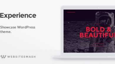Photo of [Download-S2] Experience v1.1.4 - Showcase WordPress Theme