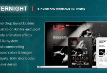 Photo of [Download-S2] Afternight - A Stylish Minimalist Themeforest WP Theme