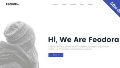 Photo of [Download-S2] Feodora v1.0 - Creative WordPress Theme