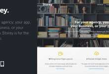 Photo of [Download-S2] Storey - A Super Flexible Professional WP Theme