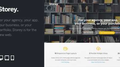 Photo of [Download-S2] Storey - A Super Flexible Professional WP Theme
