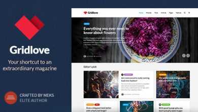 Photo of [Download-S2] Gridlove v1.7.1 - Creative Grid Style News & Magazine