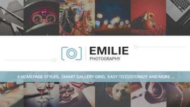 Photo of [Download-S2] Emilie v1.2 - Photography Portfolio WordPress Theme