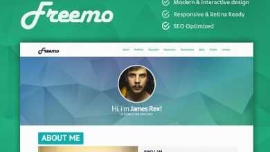 Photo of [Download-S2] Freemo - Resume / Portfólio Theme