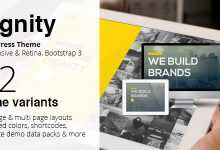 Photo of [Download-S2] DIGNITY v1.4 - WordPress One Page Responsive Portfolio