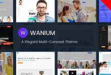 Photo of [Download-S2] Wanium v1.2.2 - A Elegant Multi-Concept Theme