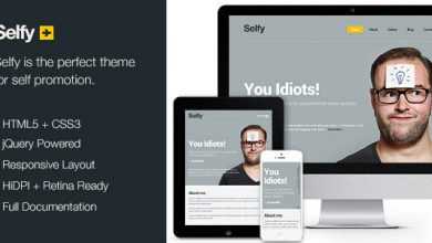 Photo of [Download-S2] Selfy - Themeforest Personal Site HTML Template