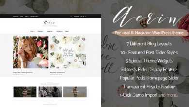 Photo of [Download-S2] Aerin v1.0 - Personal & Magazine WordPress