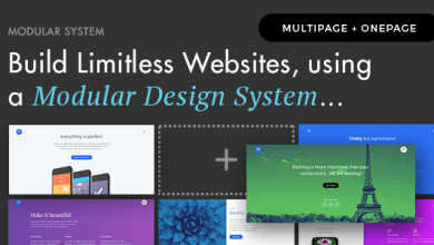 Photo of [Download-S2] Modular v1.3 - Multi Concept Agency Business Theme