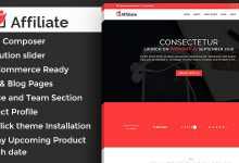 Photo of [Download-S2] Affiliate Marketing v1.1 - WordPress Theme