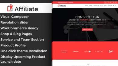 Photo of [Download-S2] Affiliate Marketing v1.1 - WordPress Theme