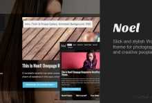 Photo of [Download-S2] Noel v1.4 - Responsive Onepage WordPress Theme