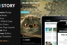 Photo of [Download-S2] TrueStory - Themeforest Fullscreen HTML5 Template