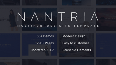 Photo of [Download-S2] Nantria - Multi-purpose HTML5 Template