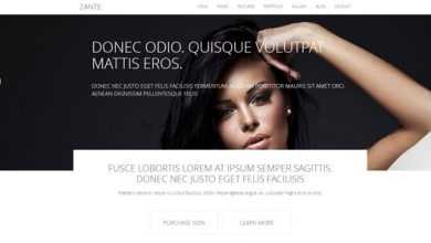 Photo of [Download-S2] Zante - Dreamtemplate Boostrap Web Template
