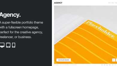 Photo of [Download-S2] Agency - Fullscreen Minimal WordPress Portfolio