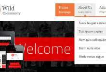 Photo of [Download-S2] WildCommunity v1.4.1 - BuddyPress Theme