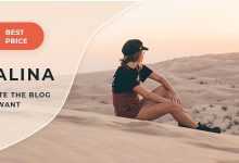 Photo of [Download-S2] Malina v1.3.1 - Personal WordPress Blog Theme