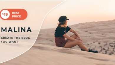 Photo of [Download-S2] Malina v1.3.1 - Personal WordPress Blog Theme