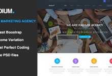Photo of [Download-S2] Radium - SEO /Digital Agency HTML5 Template