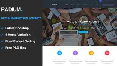 Photo of [Download-S2] Radium - SEO /Digital Agency HTML5 Template