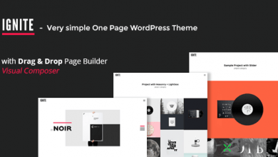 Photo of [Download-S2] IGNITE v1.0.2 - Simple One Page Creative WordPress Theme