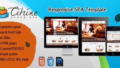 Photo of [Download-S2] CITRINE STONE SPA Themeforest Responsive Template