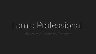 Photo of [Download-S2] VSResume - Online CV / Resume Template