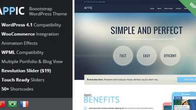 Photo of [Download-S2] Appic v1.2.14 - Business & Technology WordPress Theme