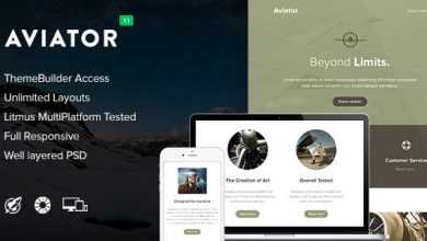 Photo of [Download-S2] Aviator v1.1 - Responsive Email + Themebuilder Access