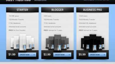 Photo of [Download-S2] Just Hosting - Themeforest Premium HTML Theme