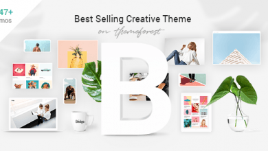 Photo of [Download-S2] Bridge v13.1.2 - Creative Multi-Purpose WordPress Theme
