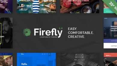 Photo of [Download-S2] Firefly v1.1 - Responsive Multi-Purpose WordPress Theme
