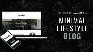 Photo of [Download-S2] Lavander v1.2 - A Lifestyle Responsive Blog Theme