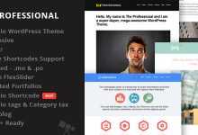 Photo of [Download-S2] The Professional - Themeforest WordPress Theme