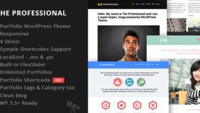 Photo of [Download-S2] The Professional - Themeforest WordPress Theme