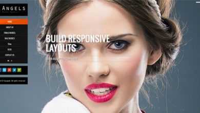 Photo of [Download-S2] Angel - Fashion Model Agency WordPress CMS Theme