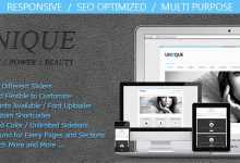 Photo of [Download-S2] Unique - Themeforest Magic / Power / Beauty Wordpress
