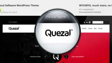Photo of [Download-S2] Quezal - Software Responsive WordPress Theme