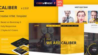 Photo of [Download-S2] Caliber v2.0.0 - Creative Multi Purpose HTML Template