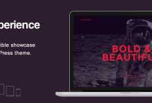 Photo of [Download-S2] Experience v1.0.4 - Showcase WordPress Theme