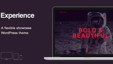Photo of [Download-S2] Experience v1.0.4 - Showcase WordPress Theme