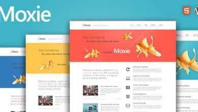 Photo of [Download-S2] Moxie v1.3.13 - Themeforest Responsive Theme for WordPress