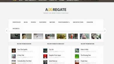 Photo of [Download-S2] Aggregate ElegantThemes WordPress Theme