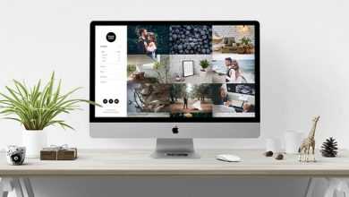 Photo of [Download-S2] Sugarland – Contemporary Portfolio for Creatives that Stands Out